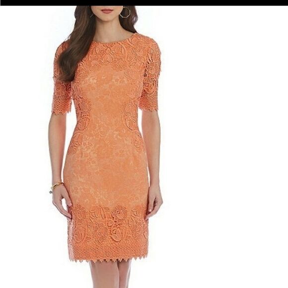 ANTONIO MELANI SAMSON BEAUTIFUL LACE DRESS - Picture 1 of 11